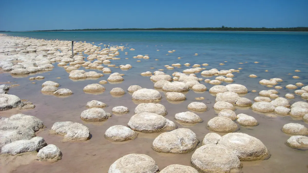 Lake Clifton in the Peel Region