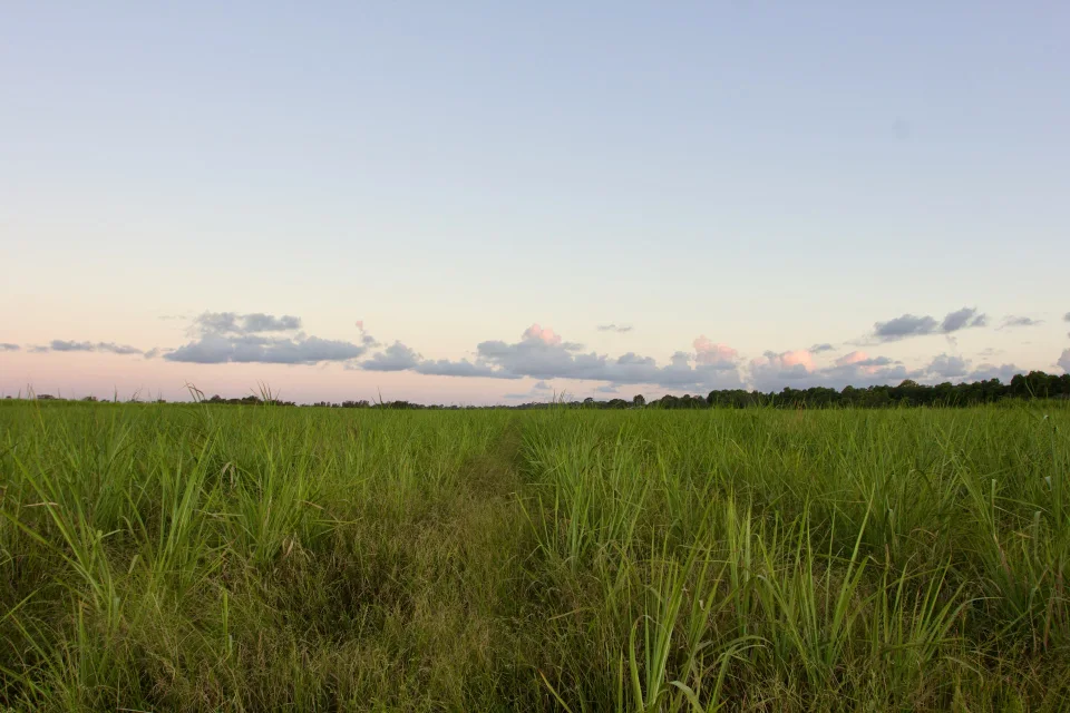 Pimpama master-planned community